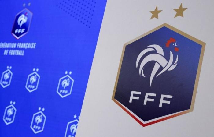 Des militants pro-palestiniens font irruption à la FFF pour protester contre le match France-Israël