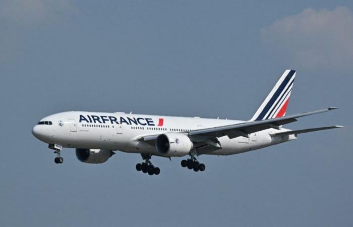 Air France suspend ses vols au-dessus de la zone de la mer Rouge « jusqu’à nouvel ordre » après le signalement d’un éventuel « objet lumineux » au-dessus du Soudan