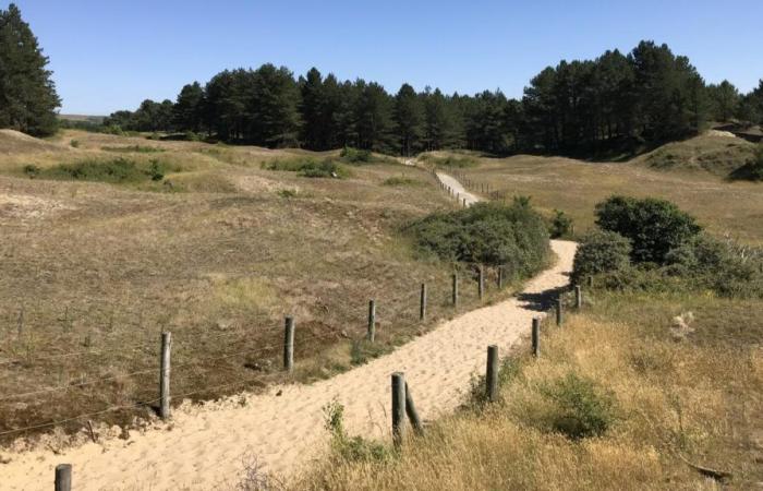 16 sites toujours en lice pour le tournoi « Espace naturel préféré du Pas-de-Calais » organisé par Eden 62