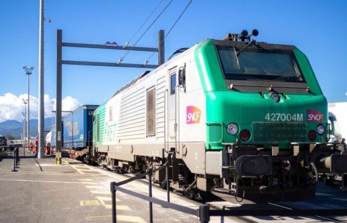 Fret SNCF disparaîtra au 1er janvier 2025 et sera remplacée par deux sociétés distinctes