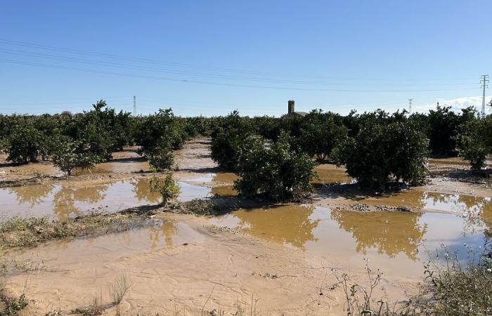 Après les inondations meurtrières, la colère des victimes