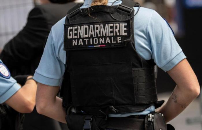 Violente bagarre à la hache dans un RER près de Paris : ce que l’on sait