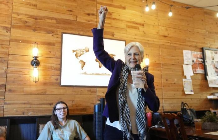 Jill Stein, la candidate écologiste qui ébranle le camp démocrate