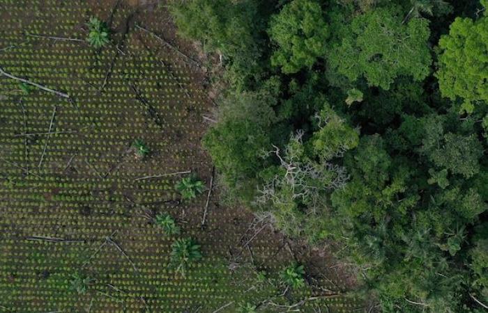 Biodiversité : que faire des 70 % de territoires non protégés ?