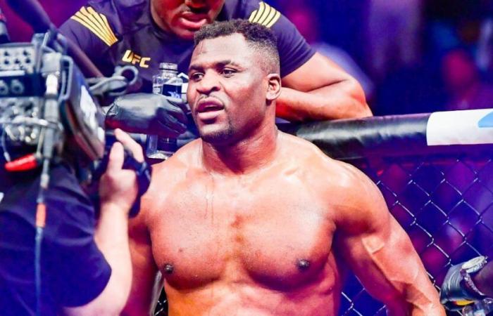 Francis Ngannou, l’énorme uppercut