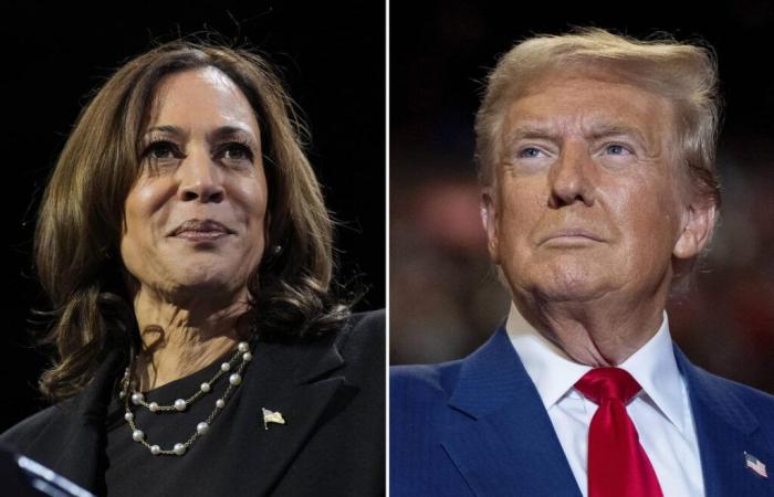 Harris se dit confiante, Trump évoque une tricherie