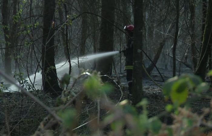 un ancien pompier reconnu coupable de six incendies criminels