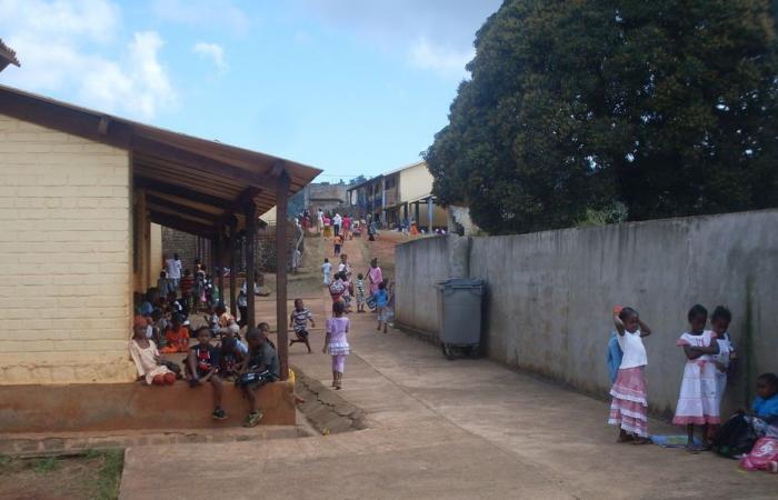 la fondation Jean Jaurès alerte sur le décrochage scolaire à Mayotte et en Guyane