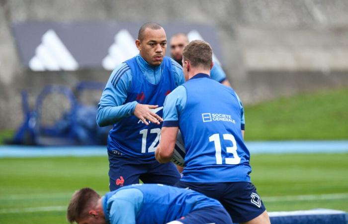 Affaire Jégou-Auradou, sortie Fickou, blessé… l’actu rugby du mardi 5 novembre