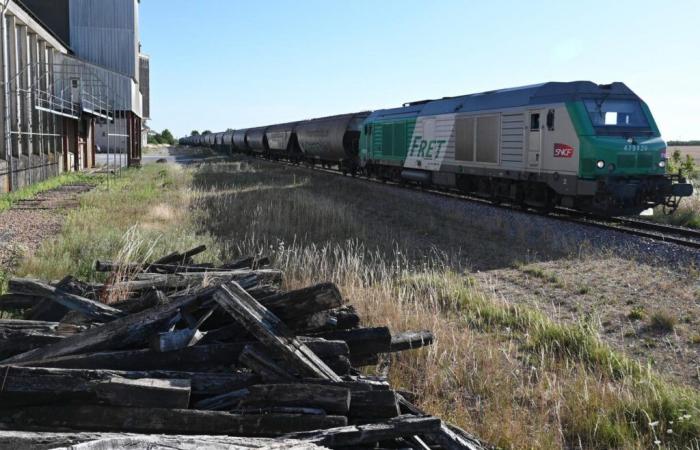 « Il faudra examiner les conséquences sur le développement du fret ferroviaire de ce régime d’amaigrissement imposé au principal acteur du marché français »