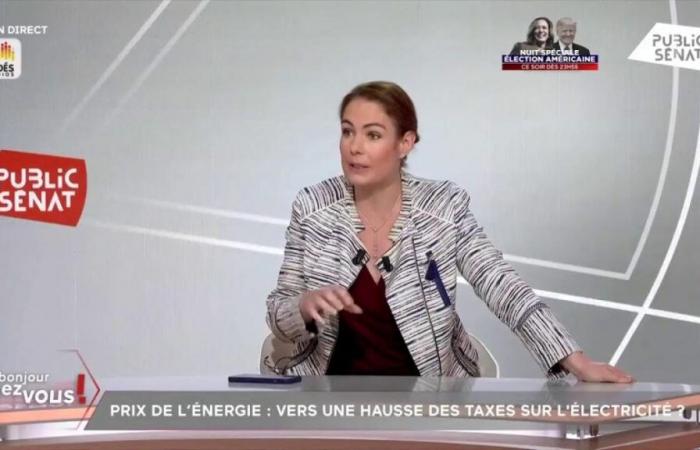 “Le bouclier tarifaire est terminé, la France n’en peut plus les moyens”, assure Olga Givernet