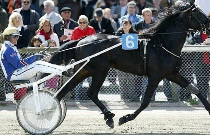 Quinté at Paris Vincennes on Tuesday November 5: Hervé Fortin’s predictions