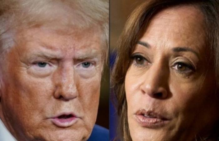 Donald Trump est à 201 votants, Kamala Harris à 91, les résultats dans les États clés seront cruciaux