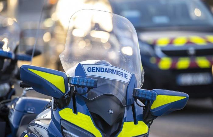 Un motocycliste condamné pour avoir refusé d’obtempérer sous l’effet de drogues