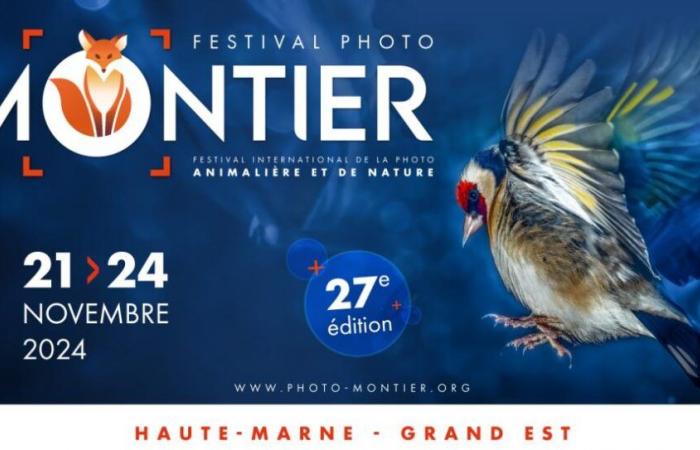 Le festival photo de Montier-en-Der, c’est fin novembre, en Haute-Marne