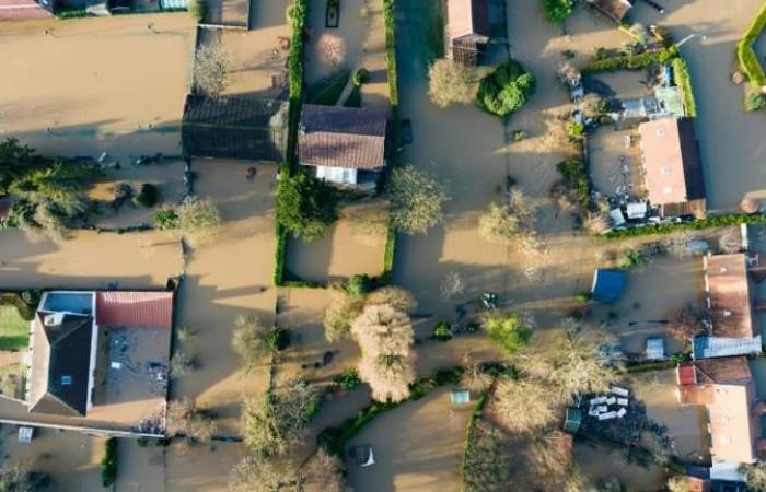 un an après les inondations, les commerces de l’Audomarois renaissent