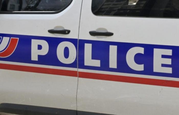 Deux enfants découverts décapités, leur mère arrêtée et hospitalisée