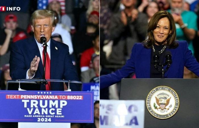 Donald Trump ou Kamala Harris, que disent les sondages le jour du scrutin ?