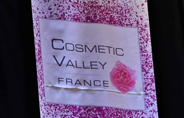 Cosmétique durable, trois livres publiés par Cosmetic Valley pour décrypter les enjeux