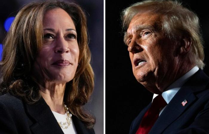 Donald Trump ou Kamala Harris ?