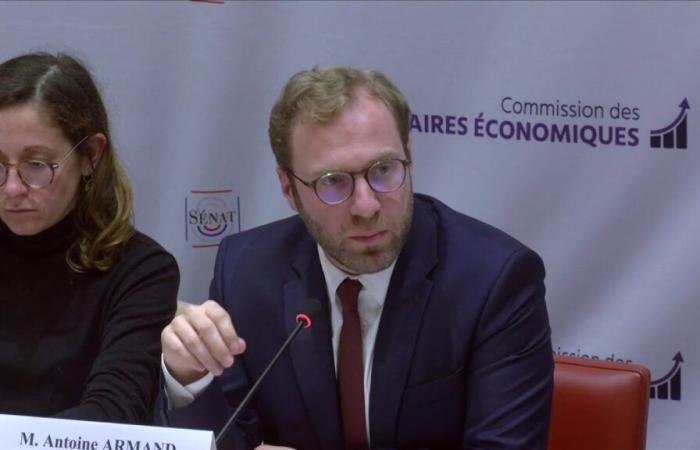 “Il est probable qu’il y en aura d’autres dans les mois à venir”, anticipe le ministre de l’Economie