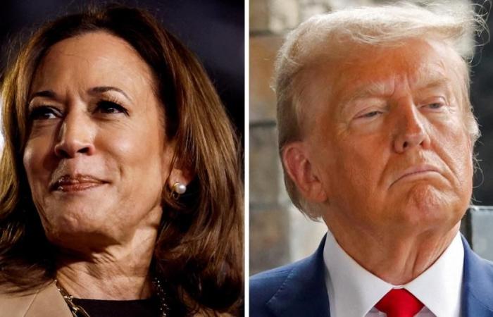 Cinéma, musique, littérature, dans la culture aussi, tout sépare Donald Trump et Kamala Harris