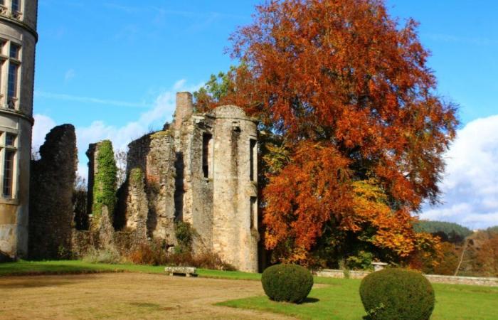 9 parcs et jardins ouvriront gratuitement leurs portes au public les 16 et 17 novembre à l’occasion de la 1ère édition de Parcs en Automne – Angers Info