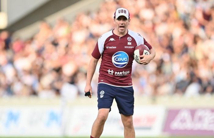 Transferts/Top 14 – Noël McNamara, entraîneur de l’attaque de Bordeaux-Bègles prolonge pour deux saisons