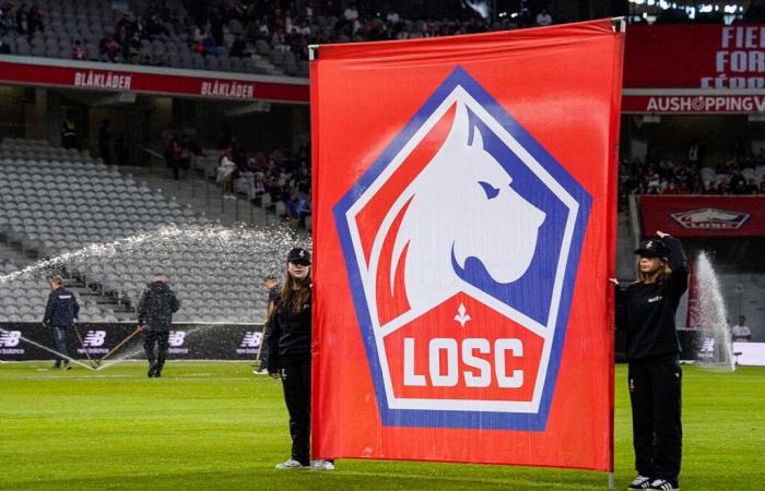 Le LOSC mis en vente, le coup de foudre