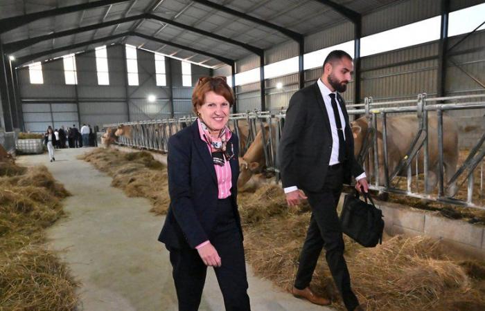 malgré les annonces, le ministre de l’Agriculture n’a pas convaincu les éleveurs tarnais