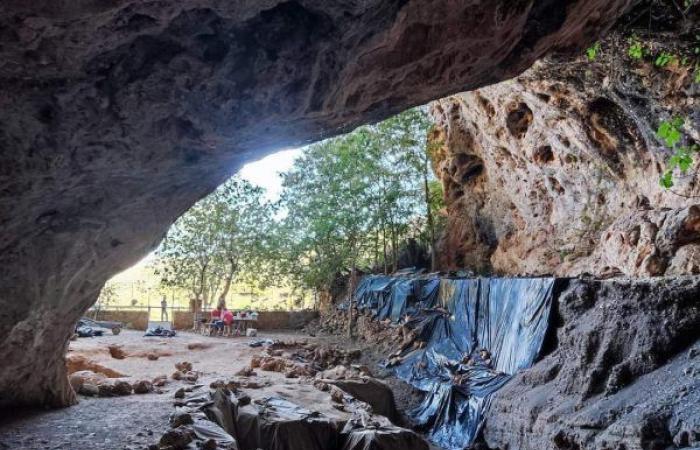 La plus ancienne utilisation « médicale » des herbes au monde a été découverte dans la grotte des pigeons de Tafogalt, vieille de 15 000 ans – Aujourd’hui 24