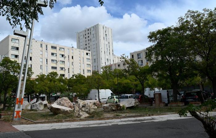 le tireur interpellé par la BAC Nord dans une ville de Marseille