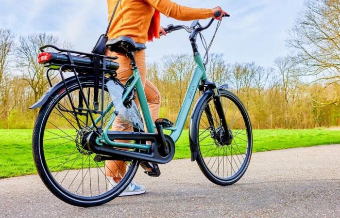 Cette grande marque néerlandaise de vélos électriques risque de faire faillite