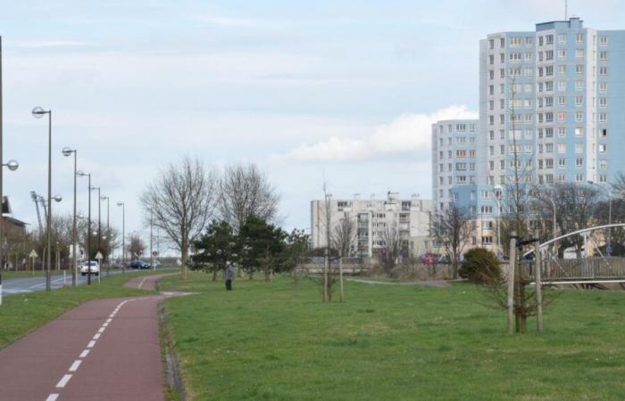 la région Hauts-de-France possède les quartiers les plus prioritaires après Paris, voici le profil des habitants selon une analyse de l’INSEE