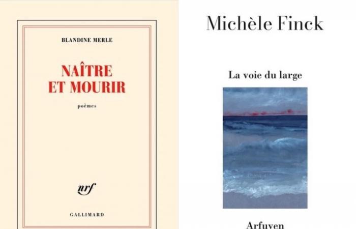 Le Prix Apollinaire 2024 décerné à Michèle Finck