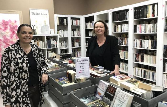 Deux sœurs ouvrent Libr’& Sœurs, une librairie d’occasion à Nevers