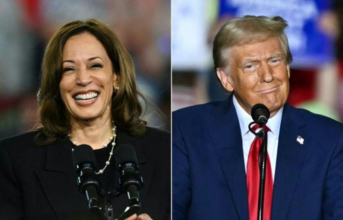 Trump fantasme sur la fraude électorale – un coup de pouce pour Harris