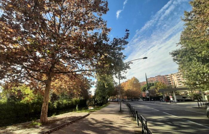 Météo France annonce une journée très douce à Toulouse et en Occitanie