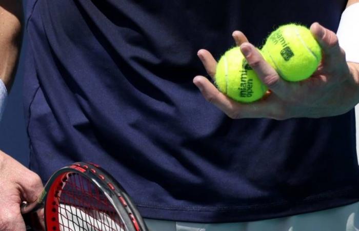 Cotes des paris sur l’Open de Moselle et aperçus des matchs du 5 novembre 2024, simple messieurs