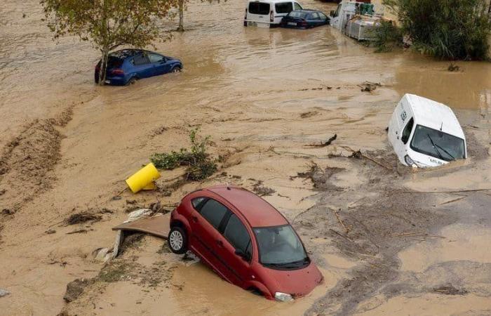 le Comité des Fêtes Francescas lance un appel aux dons et souhaite envoyer du matériel de déminage aux sinistrés