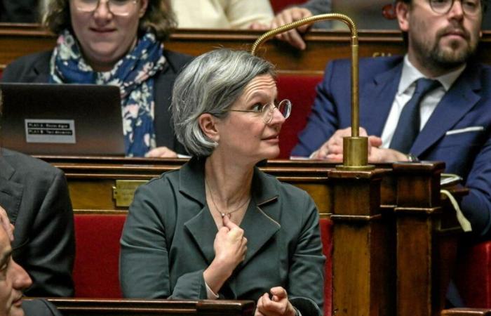 Message (désespéré) à une Sandrine Rousseau désespérée