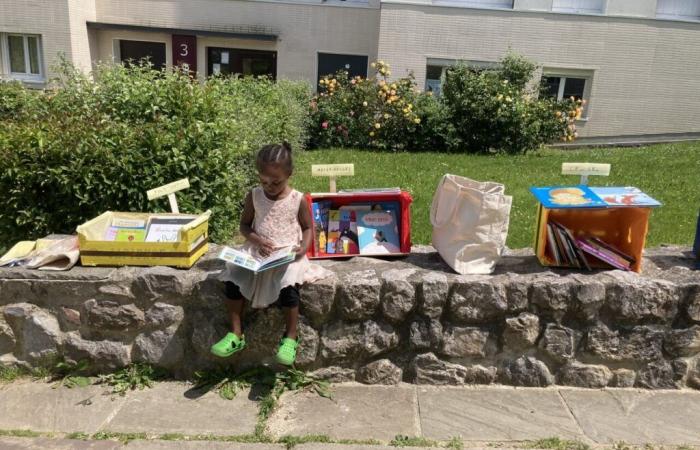 Cette librairie de l’Eure mène une action pour offrir un livre aux enfants du Secours populaire