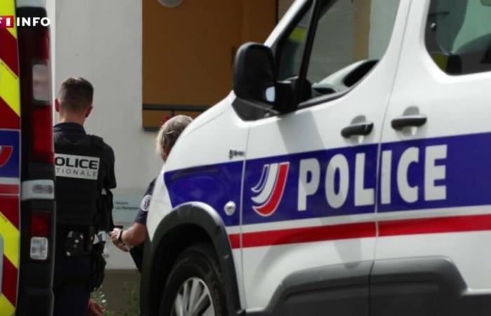 deux enfants retrouvés décapités, leur mère arrêtée et hospitalisée