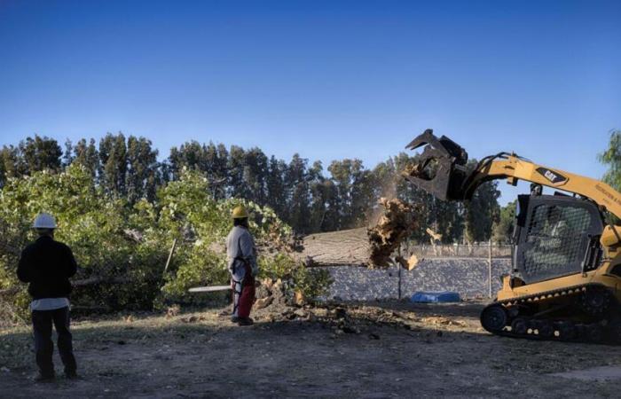 Vents de Californie | Nouvelles nationales