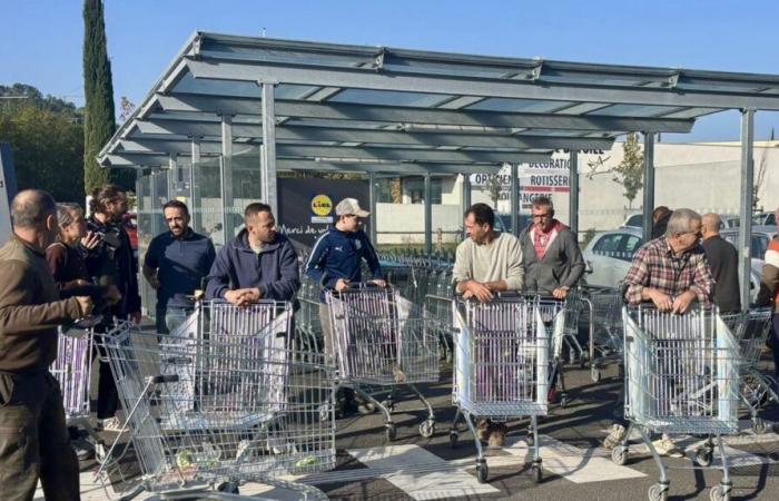 Les vignerons du Gard protestent contre le prix du litre de vin