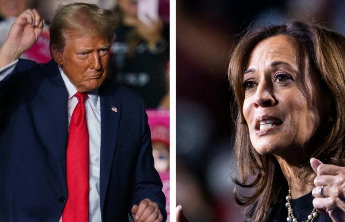 Donald Trump ou Kamala Harris, à quelle heure seront connus les résultats du vote ?