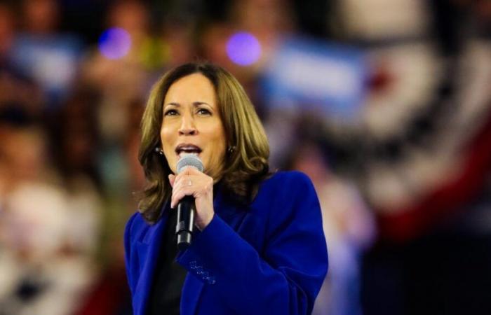 comment Kamala Harris a fait de sa garde-robe un atout lors de sa campagne