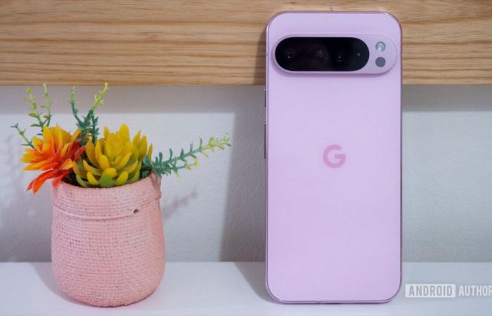 Le Pixel 9 Pro XL a été l’un des meilleurs vendeurs aux États-Unis