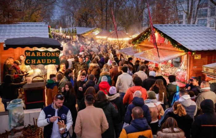 Et si on partait dans la Marne en novembre ? Les événements à ne pas manquer