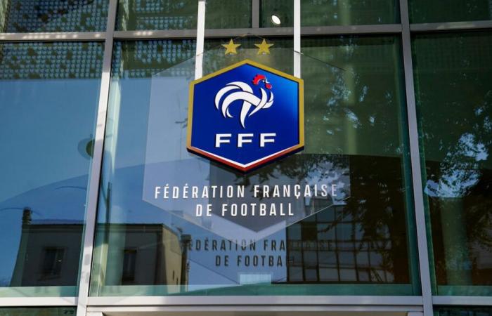 des manifestants réclamant l’annulation du match ont été reçus par la FFF